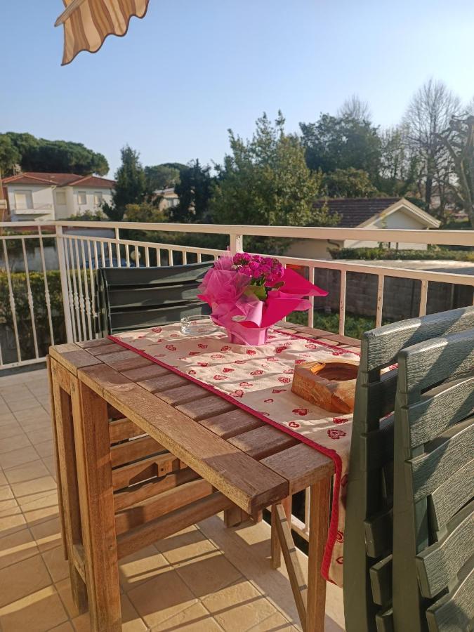 Le Palme 98 "Casa Vacanze" Lido di Camaiore Eksteriør billede