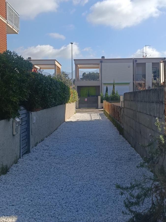 Le Palme 98 "Casa Vacanze" Lido di Camaiore Eksteriør billede
